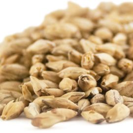 Coopers Premium Pilsner Malt (25kg bag)