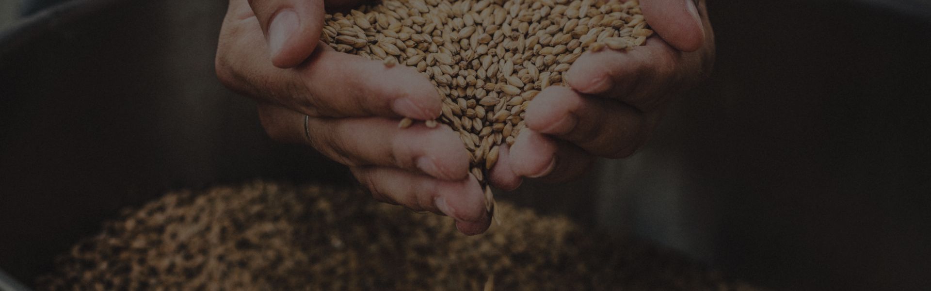 Grain & Malt Grain & Malt