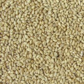 Joe White - Wheat Malt (25kg bag)