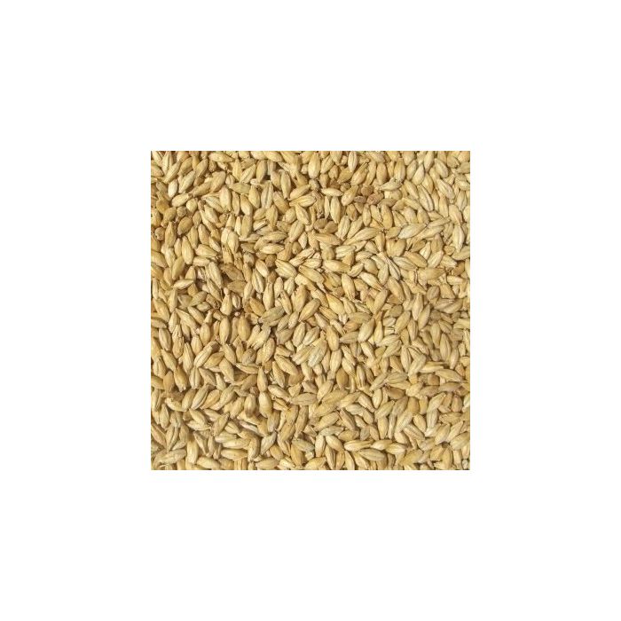Joe White - Pilsner (per kg)