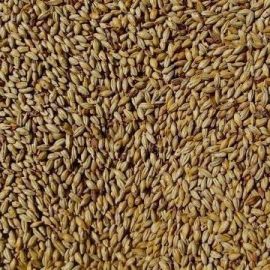 Joe White - Amber Malt (25kg bag)