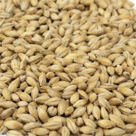 Simpsons - Maris Otter (per kg)