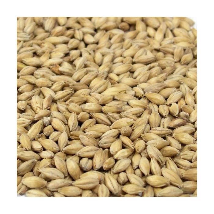 Simpsons - Maris Otter (25kg bag)