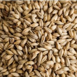 Weyermann Pale Ale Malt (per kg)