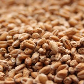 Weyermann Pale Wheat Malt (per 25kg)