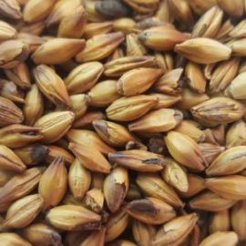 Gladfield - Shepherds Delight Malt (per kg)
