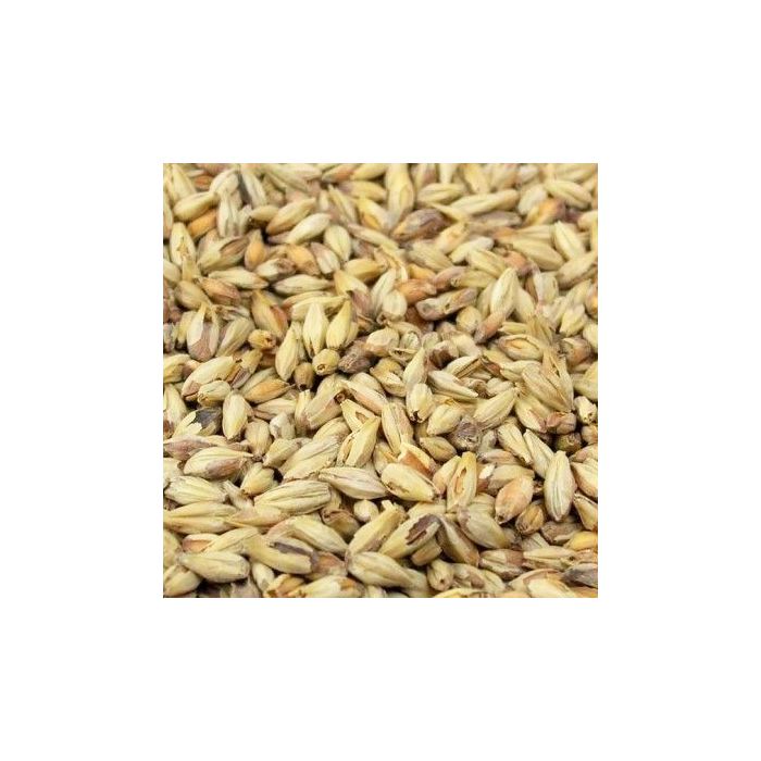 Briess - Victory Malt (per kg)