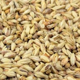 Briess - Victory Malt (per kg)