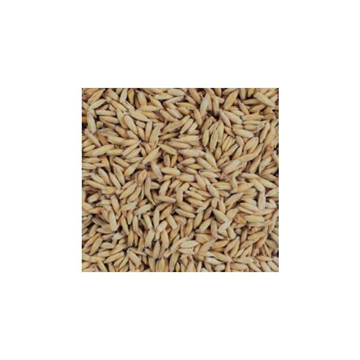 Voyager - Malted Oats (per kg)