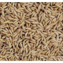 Voyager - Malted Oats (per kg)