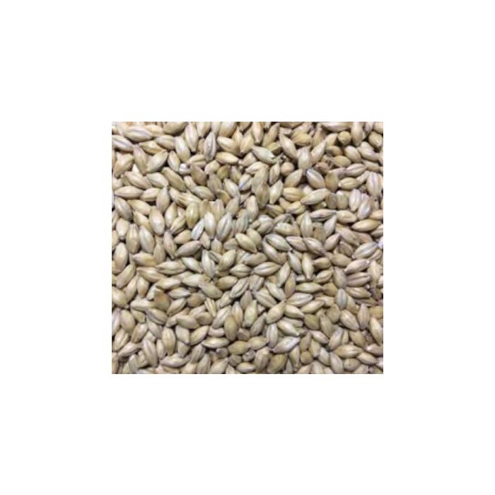 Voyager - Atlas Light Ale Malt (per kg)