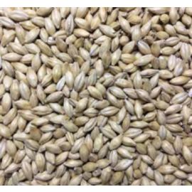 Voyager - Atlas Light Ale Malt (per kg)