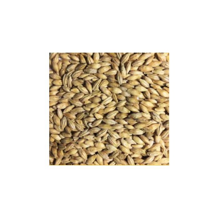 Voyager - Pale Compass (per kg)