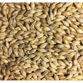 Voyager - Pale Compass (per kg)