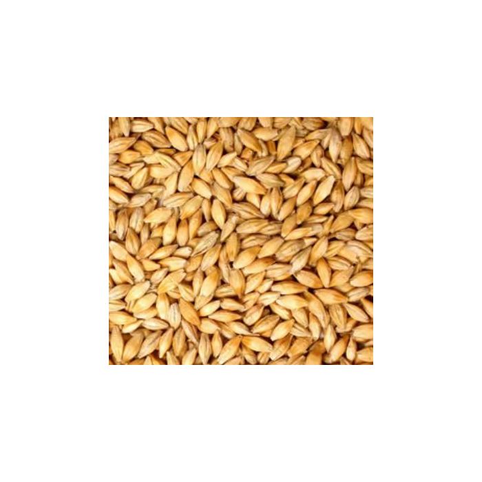 Voyager - Veloria Schooner Ale Malt (per kg)