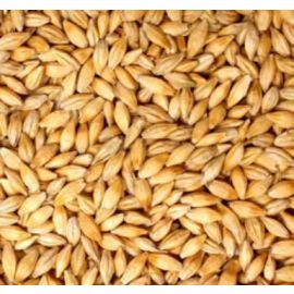 Voyager - Veloria Schooner Ale Malt (per kg)