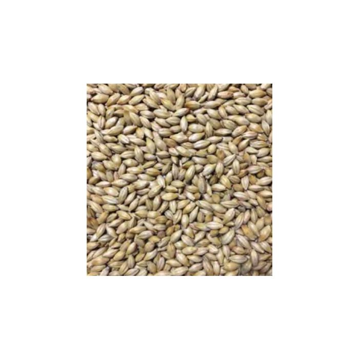 Voyager - Biscuit Malt (per kg)
