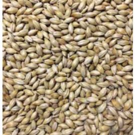 Voyager - Biscuit Malt (per kg)
