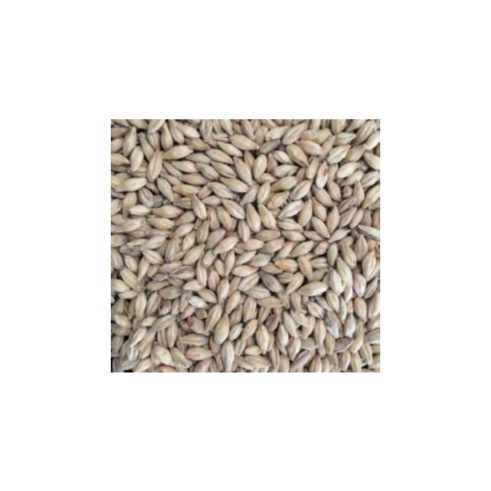 Voyager - Pale Schooner (per kg)