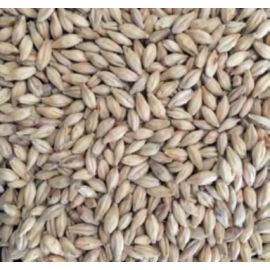 Voyager - Pale Schooner (per kg)