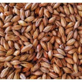 Voyager - Red Gum Smoked Malt (per kg)