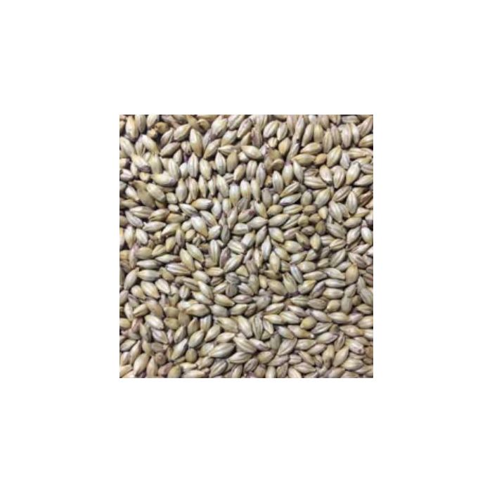 Voyager - Amber Malt (per kg)
