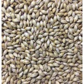 Voyager - Amber Malt (per kg)
