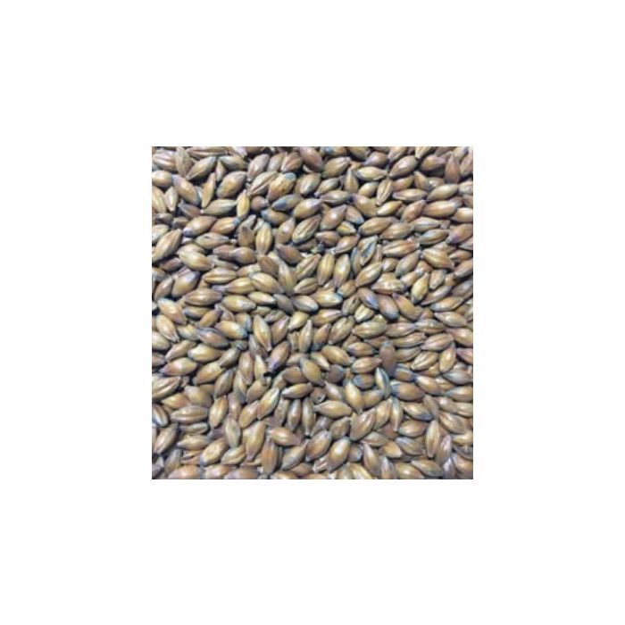 Voyager - Chocolate Malt (per kg)