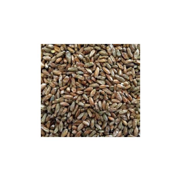 Voyager - Ryecorn (per kg)