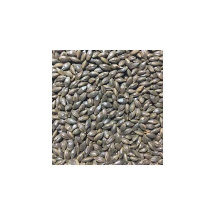 Voyager - Roast Barley (per kg)
