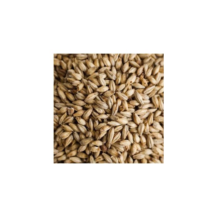 Voyager Pilsner Malt - Certified Organic 1KG