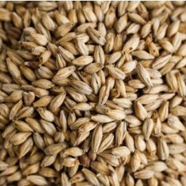 Voyager Pilsner Malt - Certified Organic 1KG