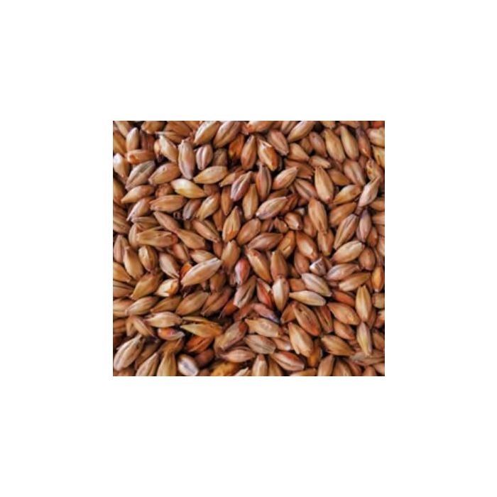 Special W malt Photo