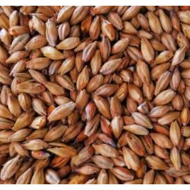 Special W malt Photo