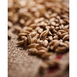Melanoidin Malt Weyermann (per kg)