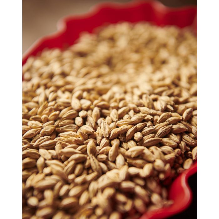 Weyermann - Pale Ale Malt (25kg bag)