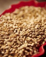 Weyermann - Pale Ale Malt (25kg bag)