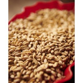 Weyermann - Pale Ale Malt (25kg bag)