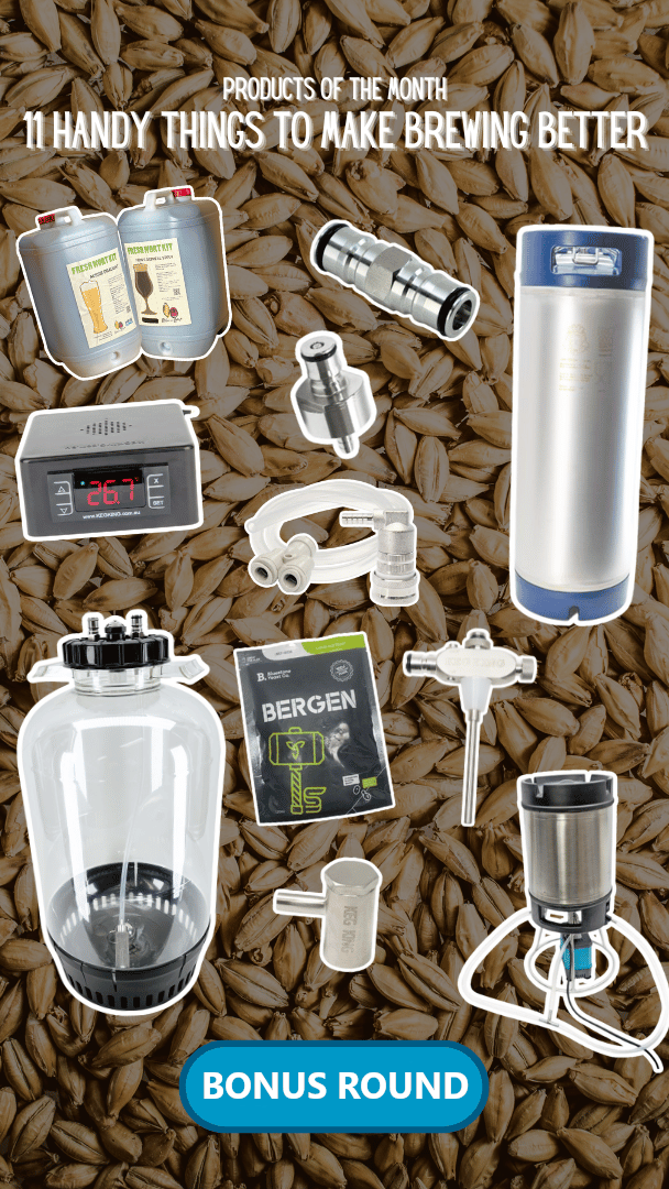 10 Things I wish I had when I started brewing! BONUS