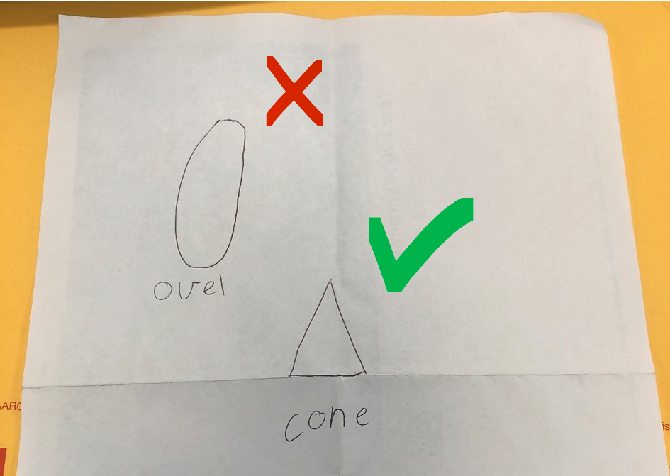 cone vs oval